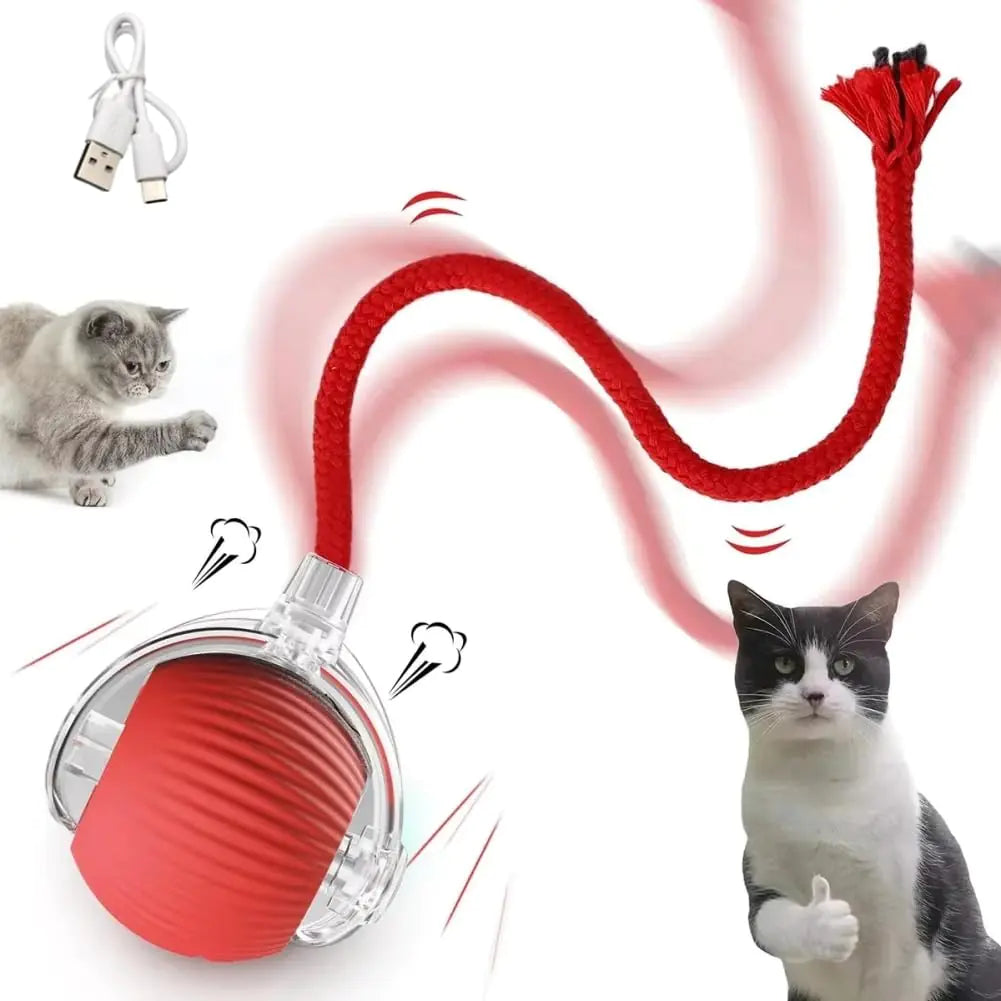 Interactive Cat Toy Ball