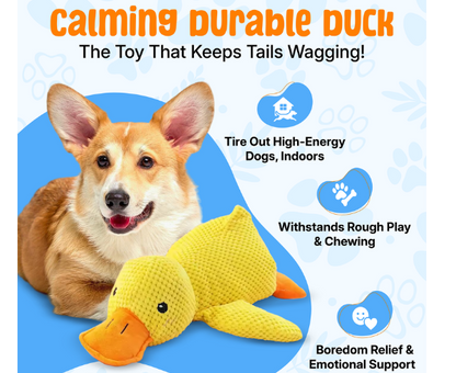 Calming Duck Plush