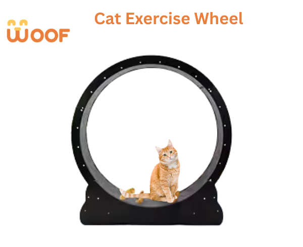 Cat Exercise Wheel