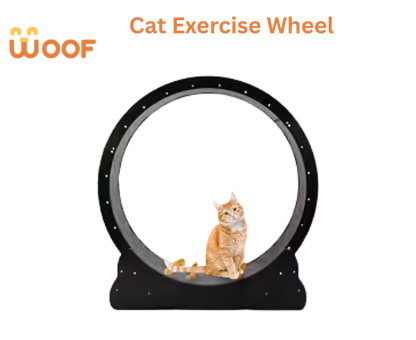 Cat Exercise Wheel