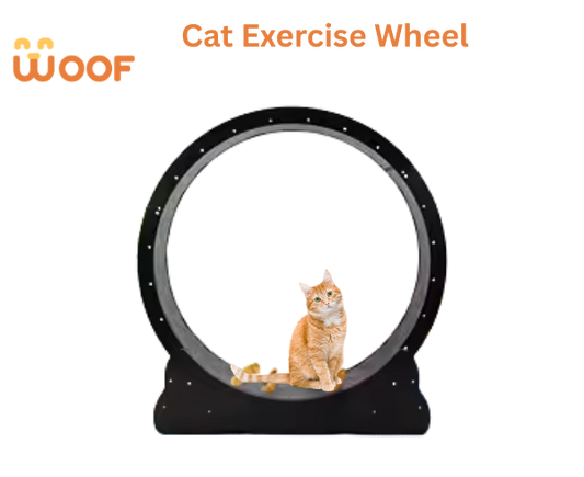 Cat Exercise Wheel