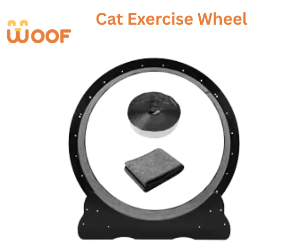 Cat Exercise Wheel