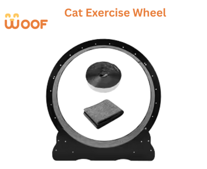Cat Exercise Wheel