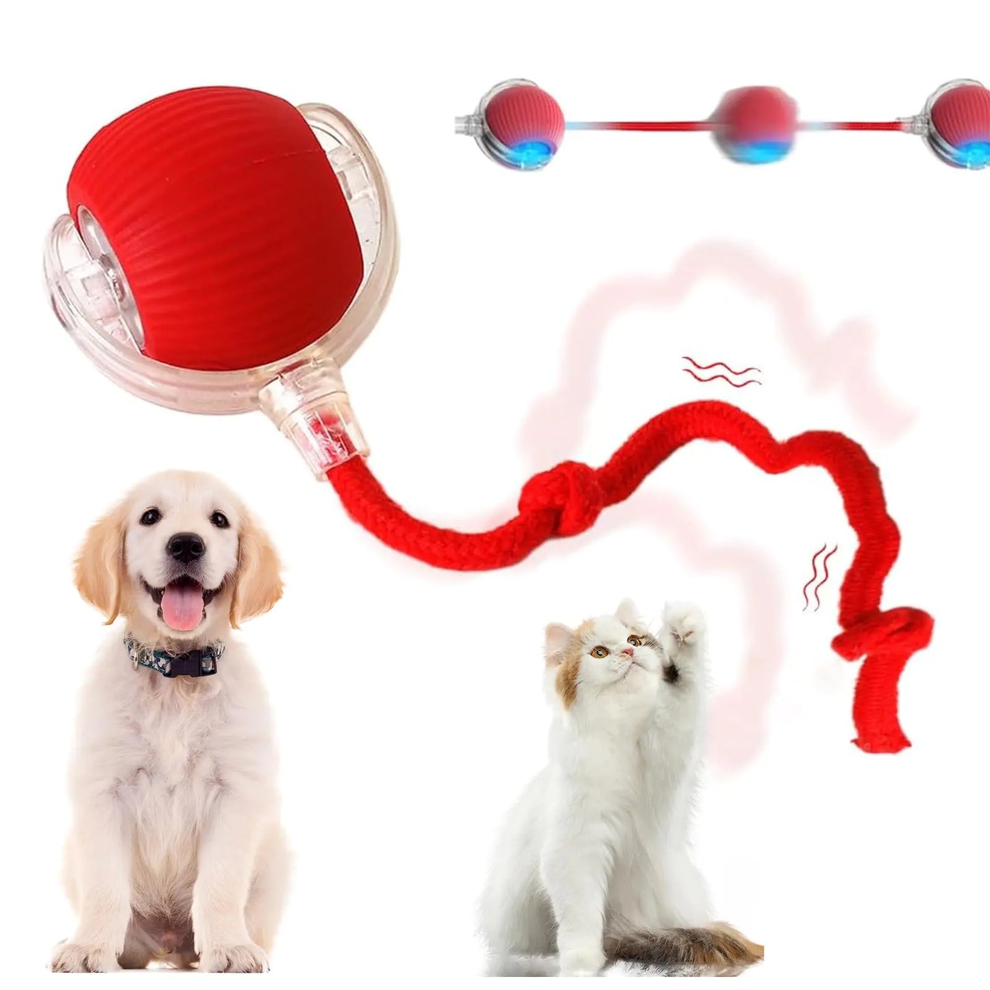 Interactive Cat Toy Ball