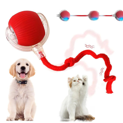 Interactive Cat Toy Ball